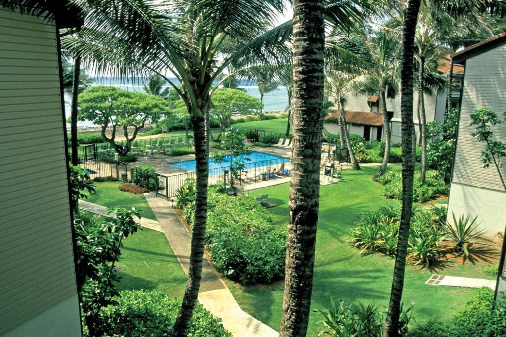 1Br Condo At Oceanfront Resort Kapaa Shore Kapa'a Luaran gambar